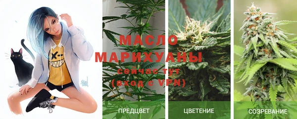 твердый Бронницы