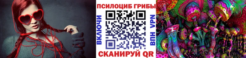 Галлюциногенные грибы GOLDEN TEACHER  цены наркотик  Комсомольск-на-Амуре 